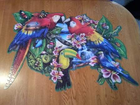bird-puzzle