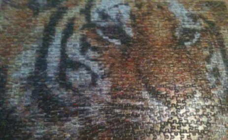 tiger-puzzle